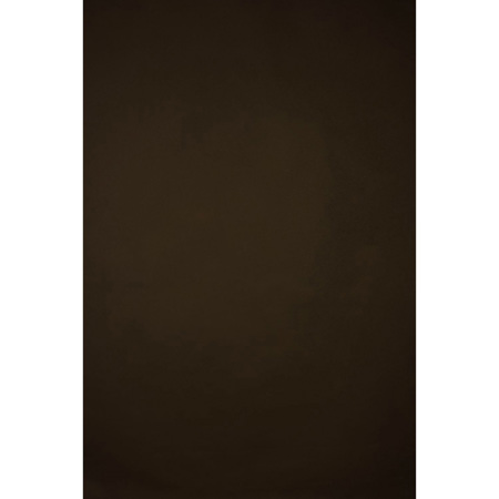 Gravity Backdrops Hand Painted Classic Collection Canvas Strong Texture Backdrop, 8.9x9.8', Brown