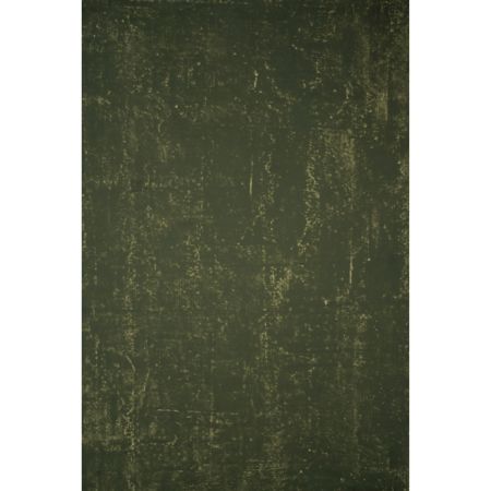 Gravity Backdrops Hand Painted Classic Collection Canvas Distressed Texture Backdrop, 8.9x19.7', Green