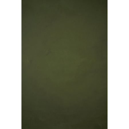 Gravity Backdrops Hand Painted Classic Collection Canvas Mid Texture Backdrop, 8.9x19.7', Green