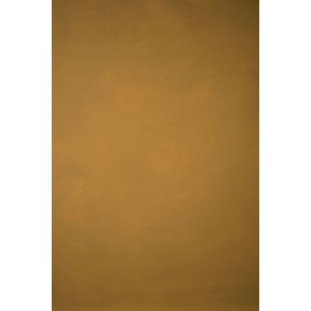 Gravity Backdrops Hand Painted Classic Collection Canvas Low Texture Backdrop, 8.9x13', Ochre