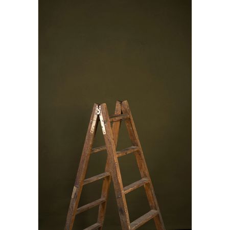 Gravity Backdrops Hand Painted Classic Low Texture Backdrop,3.9x7.8',Olive Green