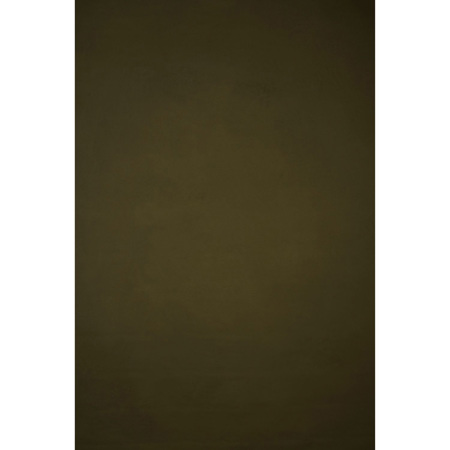 Gravity Backdrops Hand Painted Classic Mid Texture Backdrop, 8.9x13',Olive Green