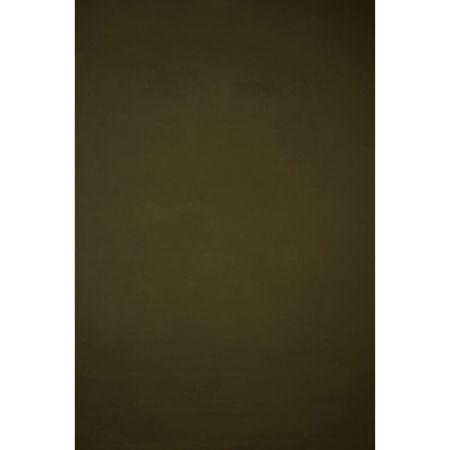 Gravity Backdrops Hand Painted Classic Collection Canvas Low Texture Backdrop, 8.9x19.7', Olive Green