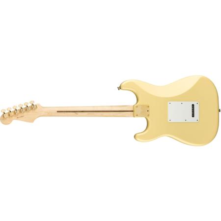 Fender Limited Edition American Professional Stratocaster Guitar (Open Box)