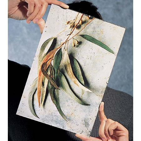 Framatic Frameless C1218B Glass Clip Frame for 12x18in