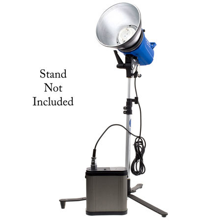 Flashpoint DG600 300w/s AC/DC Monolight,w/Battry/Chrger