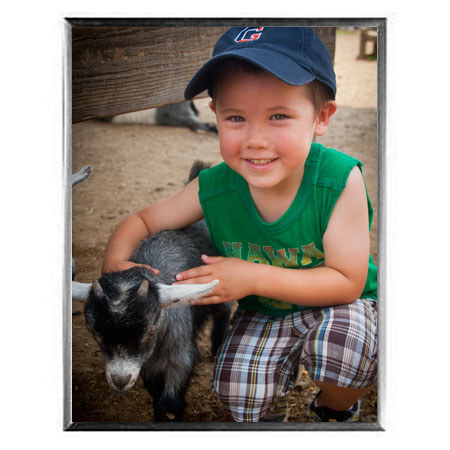 MCS Multipurpose 16 x 20" Frame, Silver