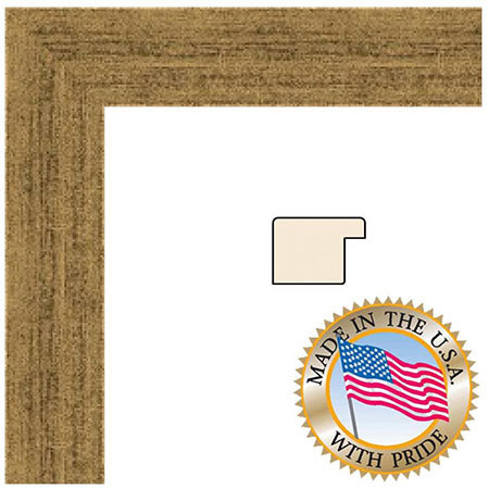 Art To Frames 3965 Wood Frame for 14x18 Photograph, Classic Gold