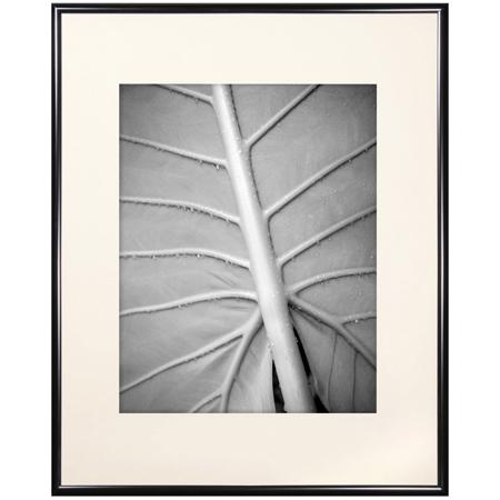 MCS Classic Aluminum 16x20" Frame, Black