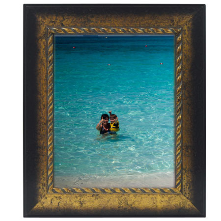 MCS ROPE 16X20 ANTIQUE GOLD FRAME