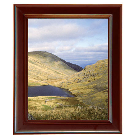 MCS Step 16x20" Hardwood Frame, Walnut