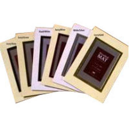 Prinz Beveled / Double Mat for 8x10" Photos, White with Silver Inner Border.