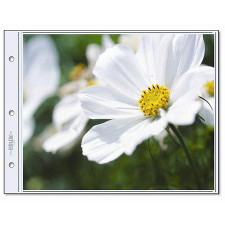 Print File 1013-2P, 10x13" Oversized Pages, 1 per Page. 25 Pack