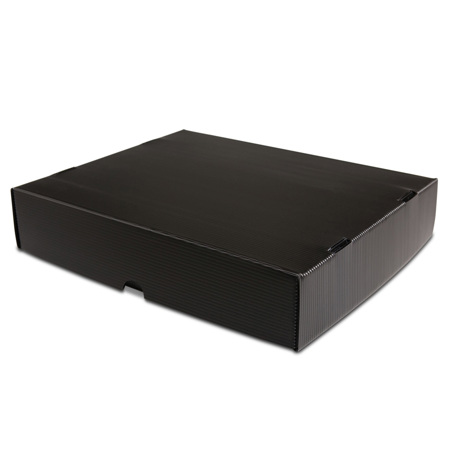 Print File Two-Piece Micro-Perforated Print Box, 20.5x24.5x3"