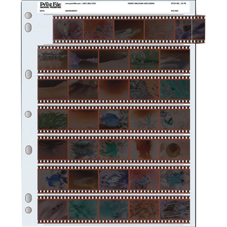 Print File 35mm Size Negative Pages Holds Seven Strips of Five Frames, Pack of 100