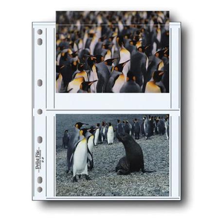Print File 57-4P 8 mil Polypropylene Archival Storage Page, 5x7", 100 Pieces