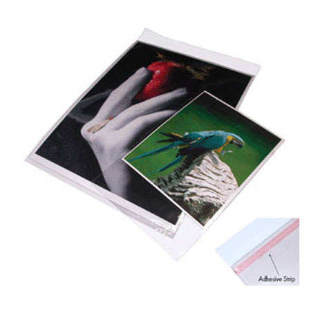 Print File Crystal Clear Art Protectors 2.5x3.5in, 100