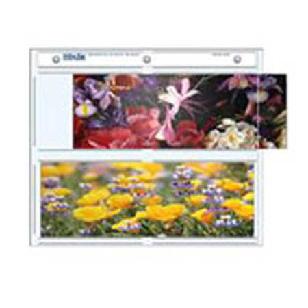 Print File Photo Pages Holds Four 3.5x10" Panorama Prints, Pack of 25