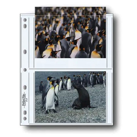 Print File Photo Pages Holds Four 5x7" Prints, Pack of 25