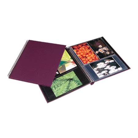 Print File 6500260 11-3/8x9-1/8in Purple Lizard Album