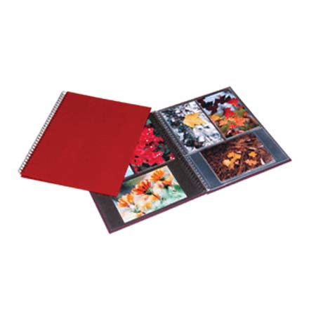 Print File 6500240 11-3/8x9-1/8in Red Lizard Album