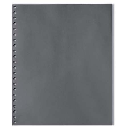 Prat ZX11V Polyester Refill Pages, 11x8.5in, Pack of 10