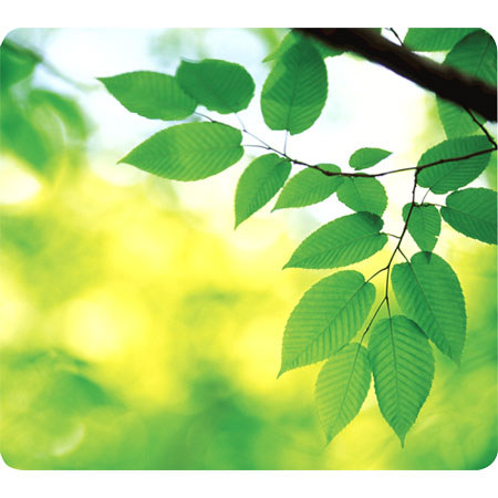 Fellowes Recycled Mouse Pad, Leaves