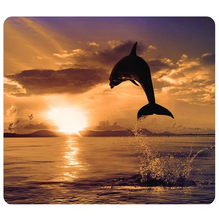 Fellowes Recycled Optical Mouse Pad, Dolphin Jumping