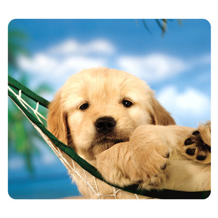 Fellowes Recycled Optical Mouse Pad, Puppy in Hammock