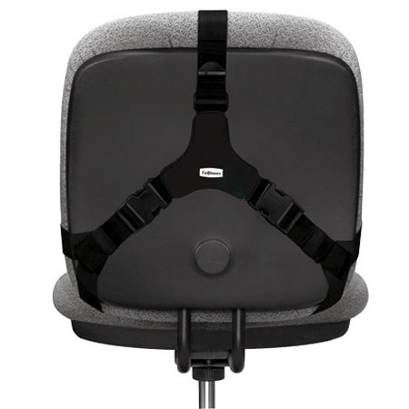Fellowes Professional Series Back Support, Black