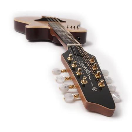 Godin A8 8-String Electro Acoustic Mandolin, Ebony, Natural SG