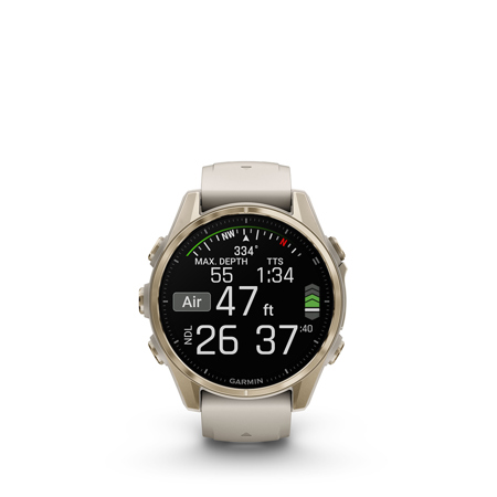 Garmin fenix 8 Sapphire 43mm GPS Smartwatch,Soft Gold SS,Fog Gray