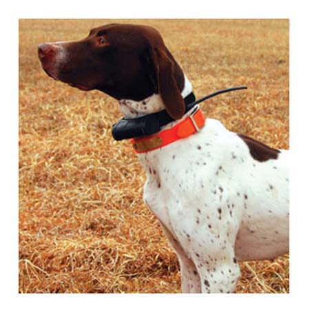 Garmin DC 30 Dog Tracking Collar f. Astro 220 brand new