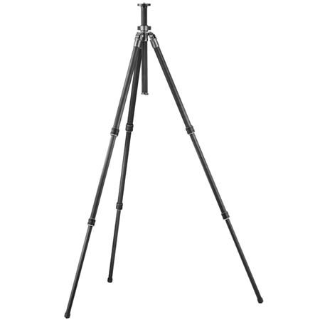 Gitzo Series 2, Basalt 3 Sec Tripod Leg w/ G-Lock