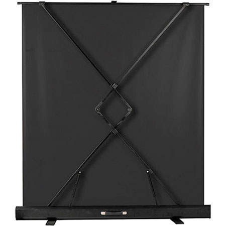 Hamilton Buhl AC-5229 Floor Front Projection Screen, 52x29" Viewing Area