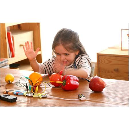 HamiltonBuhl STEAM Maestro Kit