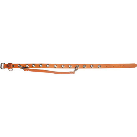 HoldFast Gear English Bridle Photo Belt, Tan, Small