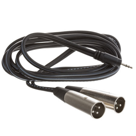 Hosa Technology 6.6' (2M) Stereo 3.5mm Mini Phono Male to Two Male XLR, Long Y-Cable