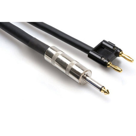 Hosa 10' 1/4" Phone Male to Dual Banana Speaker Cable, 14 AWG, with 2 Conductors