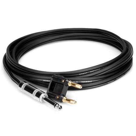 Hosa Technology Hosa SKZ-600 Series 1/4" TS to Dual Banana Speaker Cable, 75'