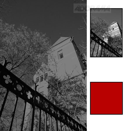 Hoya 40.5mm Red #25 Glass Filter