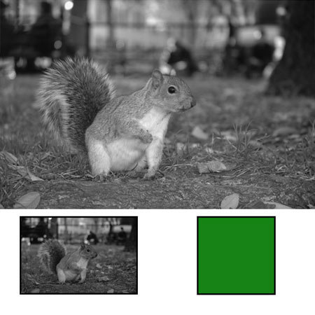 Hoya 55mm Yellow Green Filter 11 (X0)