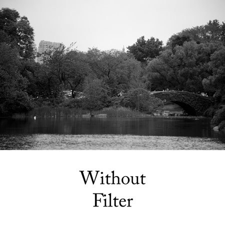 Hoya 55mm Orange Multi Coated Filter