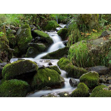 Hoya Pro 82mm 16x Neutral Density Filter, 4 Stops (1.2)