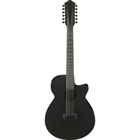 Ibanez AEG Series AEG1221 12-String Acoustic Electric Guitar, Black Out