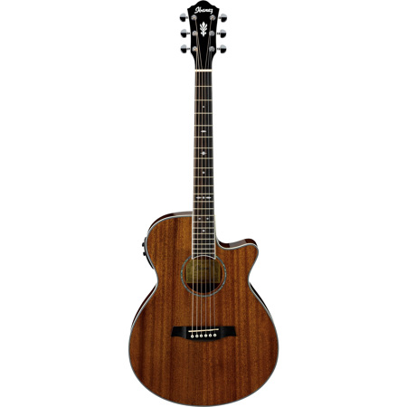 Ibanez AEG12II Acoustic Electric Guitar, Rosewood, Natural Mahogany High Gloss