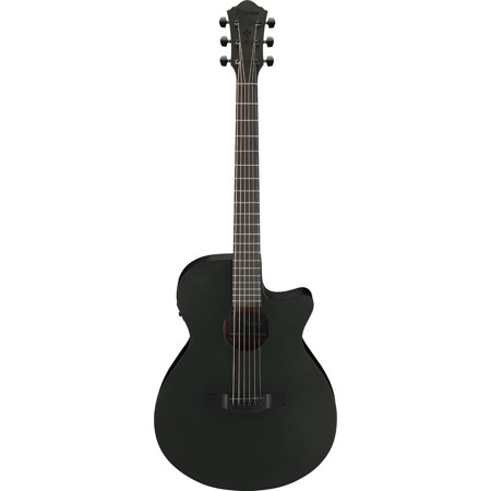 Ibanez AEG Series AEG621 Acoustic Electric Guitar, Black Out