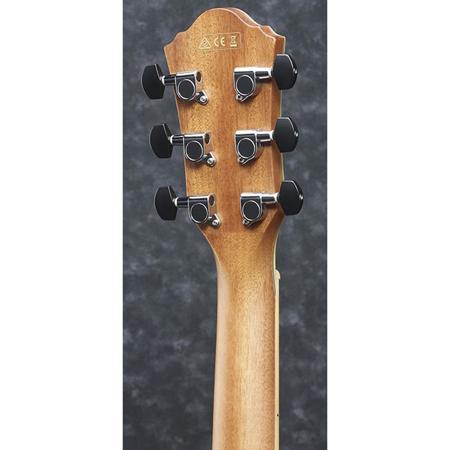 Ibanez Exotic Wood AEW51 Acoustic Electric Guitar, Rosewood, Natural High Gloss