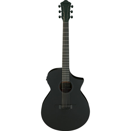 Ibanez AEWC Series AEWC621 Acoustic Electric Guitar, Black Out