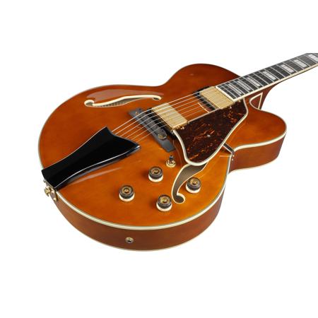 Ibanez Artcore Expressionist AF95 Hollow-Body Electric